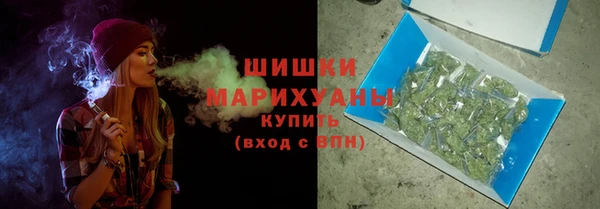 крисы Каменка