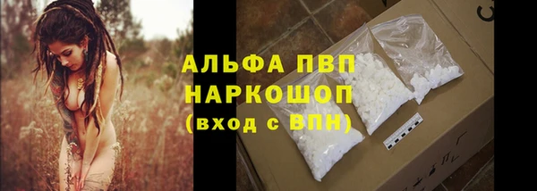 крисы Каменка