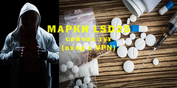 ECSTASY Каменногорск