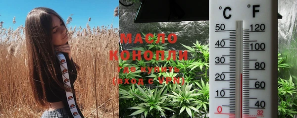 крисы Каменка
