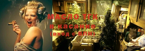 крисы Каменка