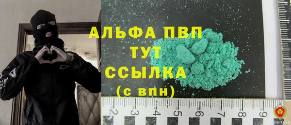 крисы Каменка
