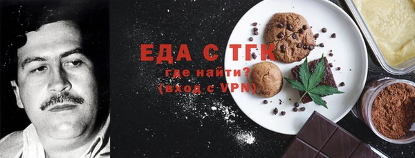 крисы Каменка