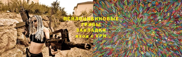 спиды Каменск-Шахтинский