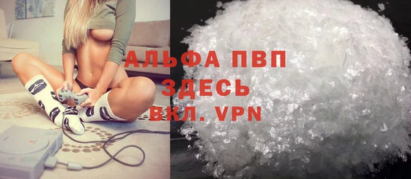 крисы Каменка