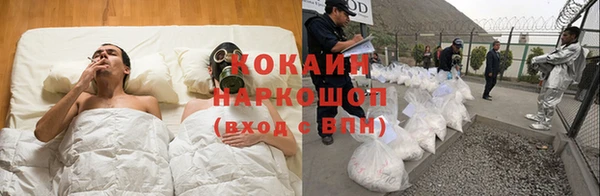 твердый Касимов