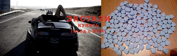 крисы Каменка