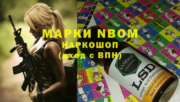 крисы Каменка