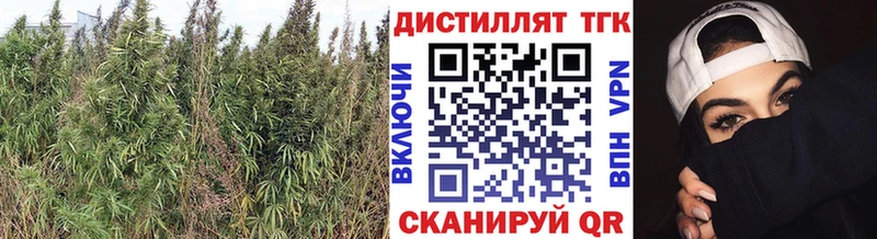 Дистиллят ТГК THC oil Касимов